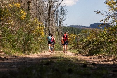 Tournoi amical de jeu d'échecs