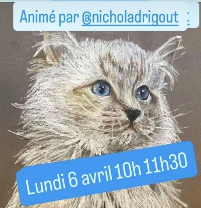 Atelier maquillage au Ô p'tits chats gaillards