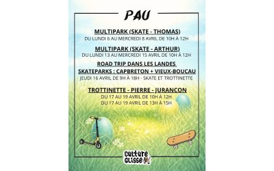 Stage skate multipark