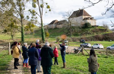Visite truffes et porcs noirs