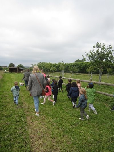 Balade découverte des secrets du bocage