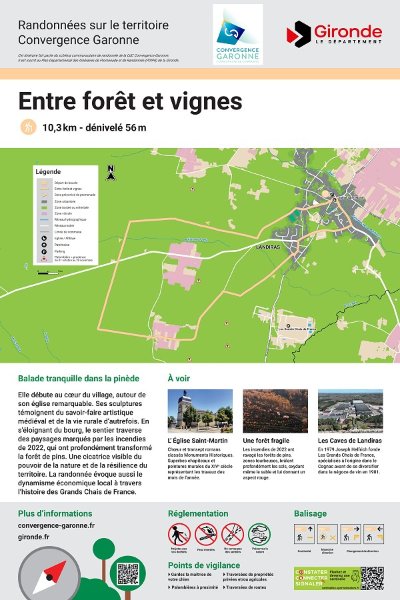Landiras, Entre forêt et vignes