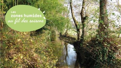 Sortie entre les jalles : venez découvrir Castelnau-de-Médoc