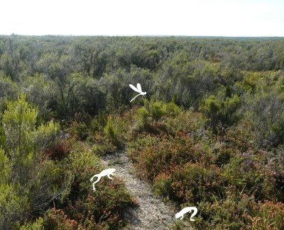 Visite découverte de la réserve