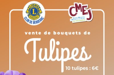 Ventes de bouquets de tulipes