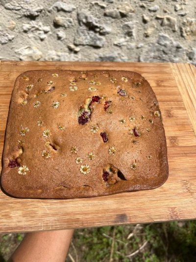 Animation nature en famille : Le goût d'autrefois