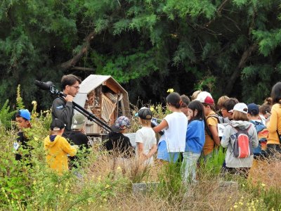 Atelier : Fabrication d’insecte