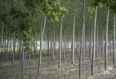 Imagine ta forme des lieux