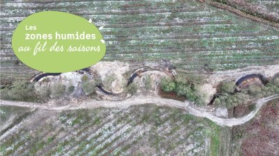 Découverte du fonctionnement des cours d’eau et crastes et de travaux de méandrage