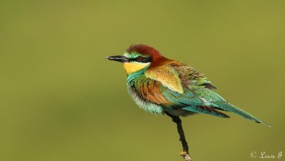 LA NATURE AU FIL DES SAISONS