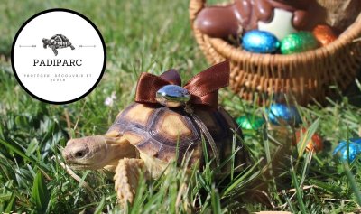Pâques à Padiparc