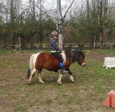 Les stages du Ranch et Ferme du Saut du Loup