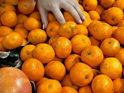 Exposition photos - Couleur