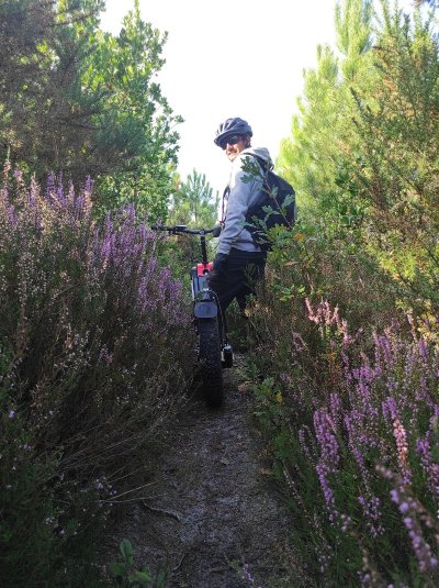 Location de vélo Bike Experience - Evolution 2 Lacanau