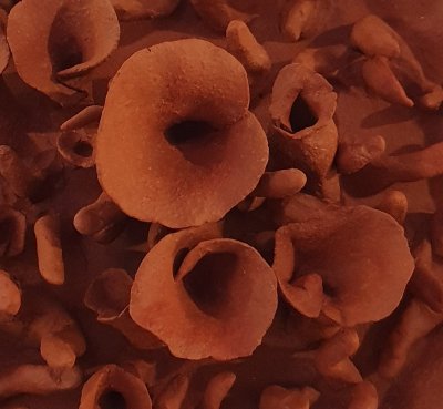 Portes ouvertes - exposition Cécile Laissus, artiste sculpteur