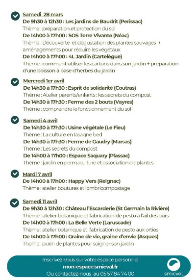 Jardiner au naturel : purin de plantes pour soigner son jardin