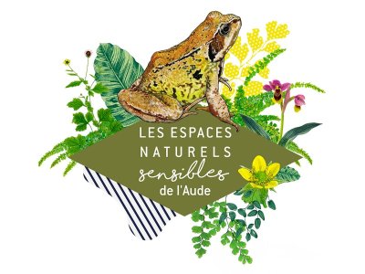 ENS - LES MARE-VEILLES DE LA NUIT