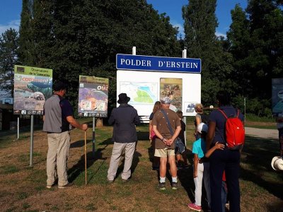 Visite guidée à la Réserve naturelle nationale de la Forêt d’Erstein