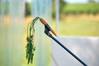 Stage | Découverte d'un texte classique - "Cyrano, Rostand et vous"