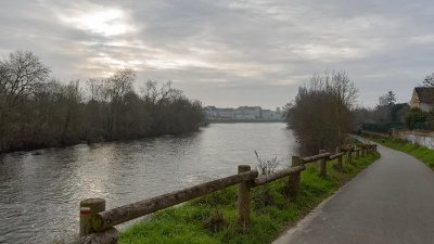 chants d'oiseaux des bords de Vienne
