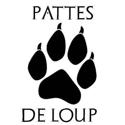 Vide-greniers de l'association "Pattes de Loup"