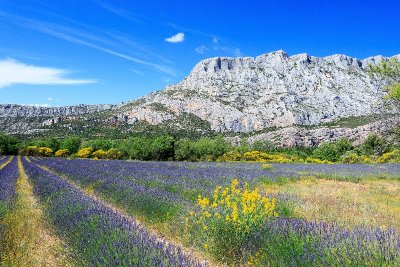 Balade apprenante au Grand Site Sainte-Victoire