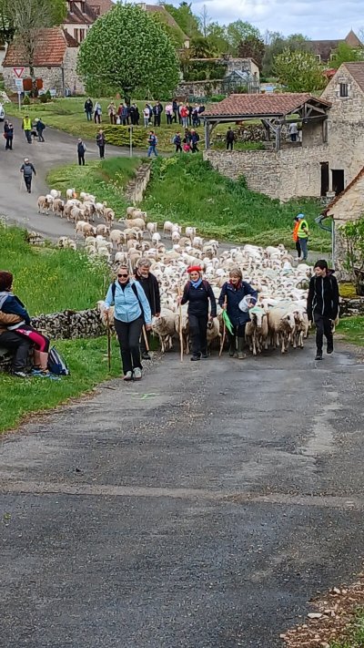 Repas de la Transhumance, à Séniergues