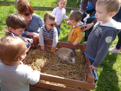 Expérience : fermier d’un jour