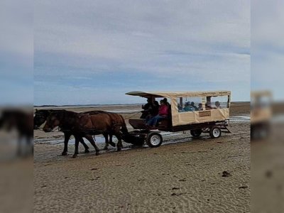 Découverte de la Pêcherie Maillard en calèche