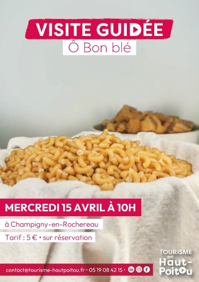 Visite de l'entreprise Ô Bon Blé