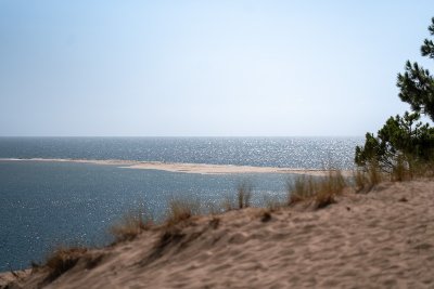 Visite guidée de la Dune du Pilat au Banc d'Arguin