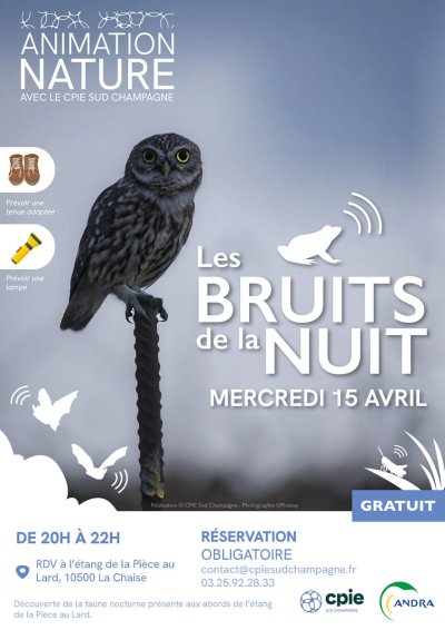 Animation Nature "Les bruits de la nuit"