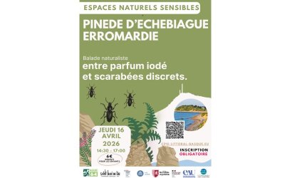 Espaces naturels sensibles de Saint-Jean-de-Luz: Pinède d'Etchebiague, entre parfum iodé et scarabées discrets.