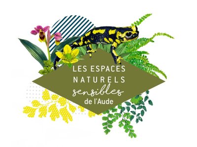 ENS - RENDEZ-VOUS AUX CABANES, LA MER ARRIVE !