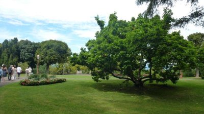 Visite guidée du Bas Rebberg, quartier des industriels