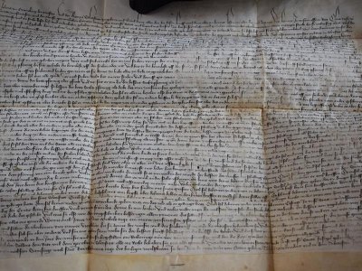 Atelier enfants : les secrets des couleurs, peintures végétales