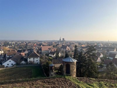 Initiation au trail, découverte sportive de Rouffach