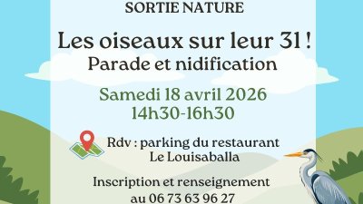 Sortie Nature : Les oiseaux sur leur 31
