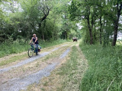 La Brenne en gravel : Route Européenne d'Artagnan