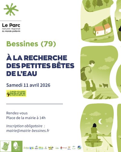 Balade nature "Découverte des oiseaux du marais" à Bessines