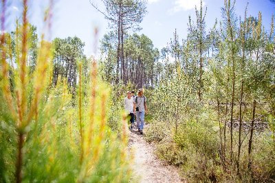 Petite boucle autour des lacs d'Hostens