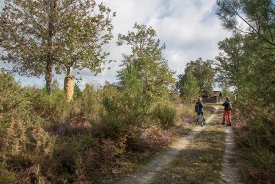 La Forêt d'Art Contemporain : La Sauveté de Garbachet, oeuvre n°07
