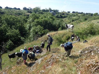 Sortie botanique - Argenton-les-Vallées, le Clos Saint Georges