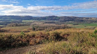 Biodivélo : Roulons à tire d'ailes vers les landes d'Abos et les papillons présents !