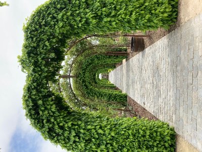 Jardin d'inspiration médiévale de la Maladrerie Saint-Lazare