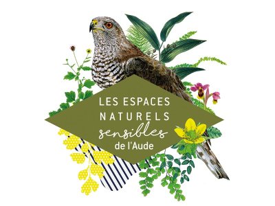 ENS - AU MILIEU DES FLEURS, DÉCOUVRONS LES OISEAUX