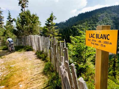 Descente de vallée en VTT depuis la Station du Lac Blanc
