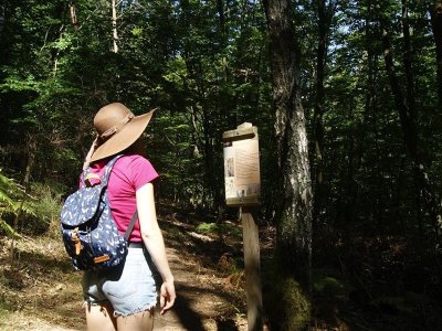 De la gare d'Ingwiller au château de Lichtenberg