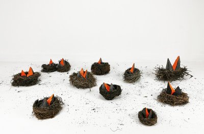 EXPOSITION « LES CARNIVORES ET LES OISEAUX » DE PIERRE FAURET