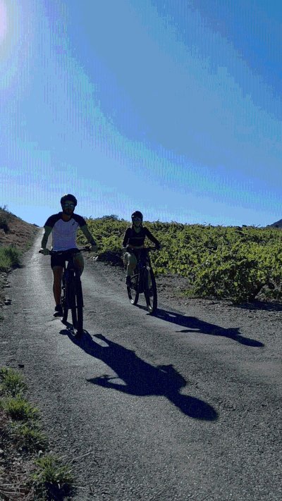 RANDONNÉE EN VTT ÉLECTRIQUE SUR LES HAUTEURS DE COLLIOURE